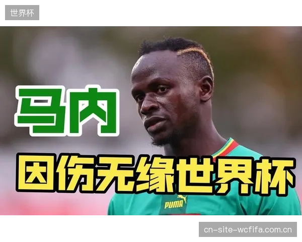 马内的远射能力为塞内加尔提供了禁区外解决问题的备用方案，是重要的战术补充。